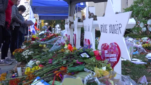 2018 Μνημείο Για Θύματα Των Μαζικών Πυροβολισμών Ρατσιστικών Εγκλημάτων Μίσους — Αρχείο Βίντεο