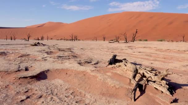 Namib Çölü Ndeki Namib Naukluft Ulusal Parkı Nın Şafak Namibya — Stok video