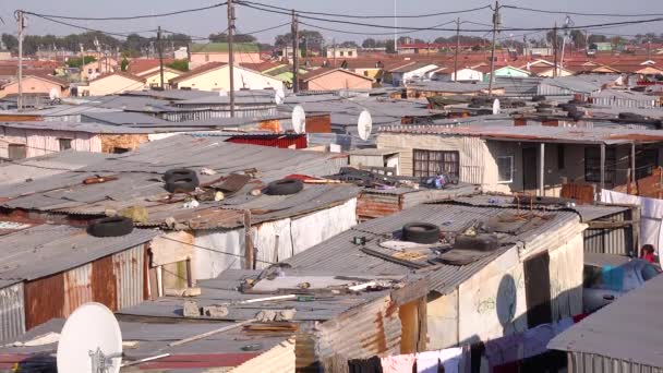 Atraviesa Los Tejados Típico Municipio Sudáfrica Gugulethu Con Chozas Estaño — Vídeo de stock