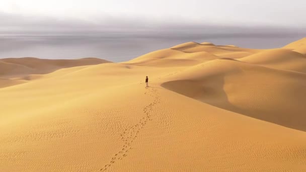 Luftaufnahme Eines Weiblichen Modells Das Auf Den Wunderschönen Sanddünen Der — Stockvideo