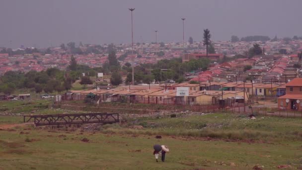 Zřízení Záběru Domů Soweto Township Jihoafrická Republika — Stock video