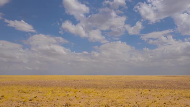 ナミビアの不毛の草原やサバンナ平野を移動雲の時間経過 — ストック動画