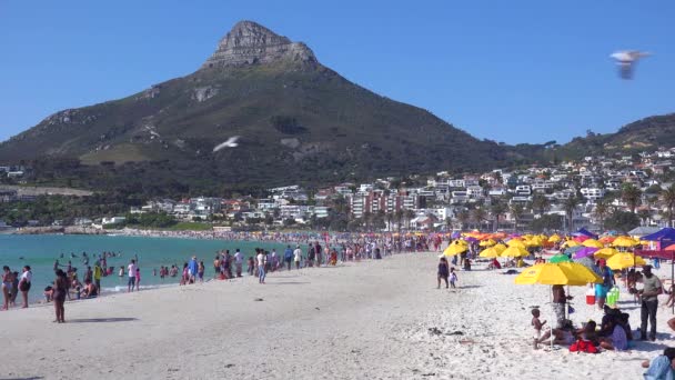 Crowded Busy Holiday Beach Scene Camps Bay Cape Town South — стоковое видео