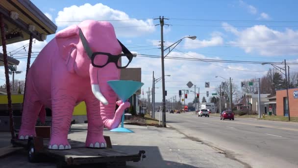 Elefante Rosa Gigante Sienta Lado Carretera Con Martini Tronco Pequeño — Vídeos de Stock