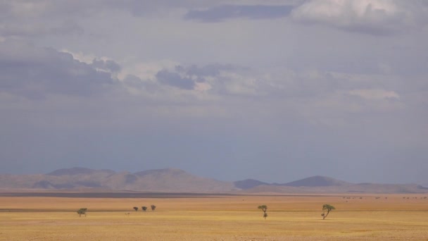 在纳米比亚贫瘠的草原 相思树和草原上移动的云朵的时间流逝 — 图库视频影像