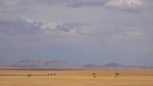 Aika Kuluu Pilvet Liikkuvat Hedelmätön Niityt Akaasiapuut Savannah Tasangoilla Namibian — kuvapankkivideo