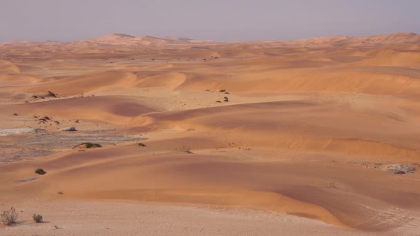 Establishing Shot Namib Desert Dunes — Stock Video