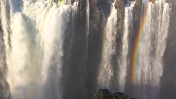Schöne Nahaufnahme Mit Regenbogen Der Victoria Falls Und Dschungel Von — Stockvideo