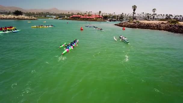 Canoas Aéreas Sobre Outrigger Compitiendo Una Carrera Remo Océano Pacífico — Vídeos de Stock