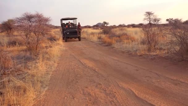 Safari Jeep Passes Sunset Plains Africa Erindi Park Namibia Native — Stock Video