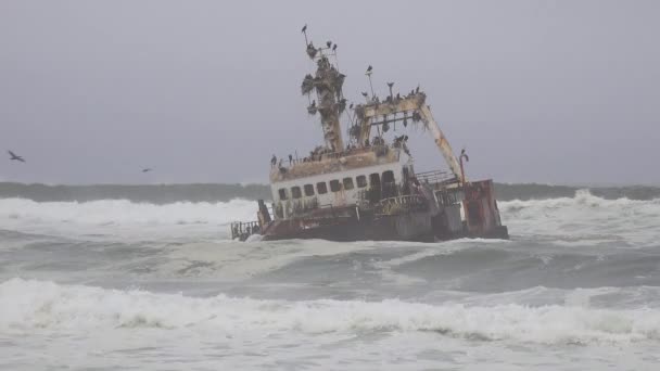 Spooky Shipwreck Grounded Fishing Trawler Sits Atlantic Waves Skeleton Coast — Stock Video