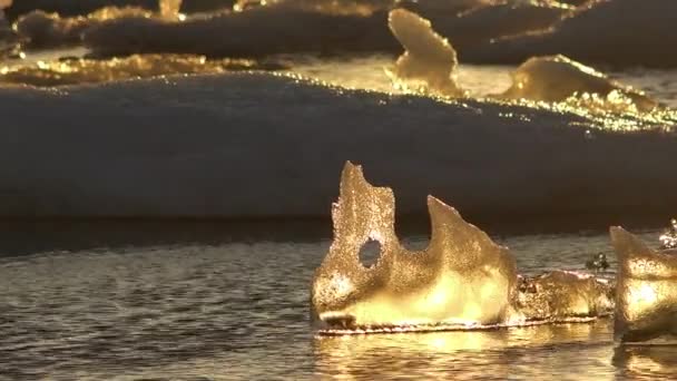 Ijs Drijft Het Bevroren Noordpoolgebied Jokulsarlon Gletsjerlagune Ijsland Wat Wijst — Stockvideo