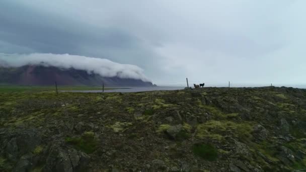 Fantastisk Antenn Skott Anmärkningsvärda Vackra Fjordar Island Med Moln Och — Stockvideo