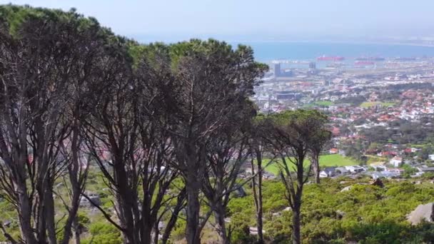 Cielo Revelaciones Aéreas Del Centro Ciudad Del Cabo Sudáfrica Desde — Vídeos de Stock