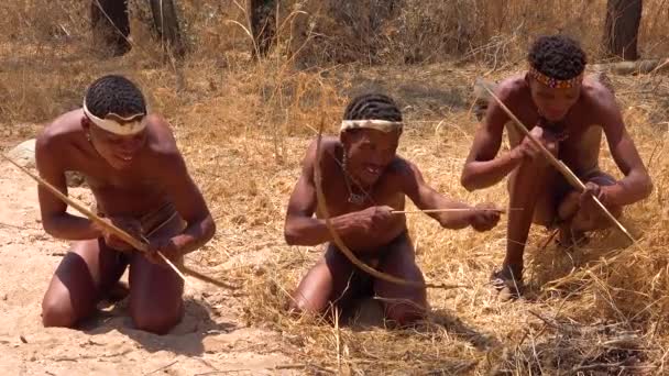 纳米比亚的桑族丛林猎人在草原上猎食时 在非洲准备毒箭 — 图库视频影像