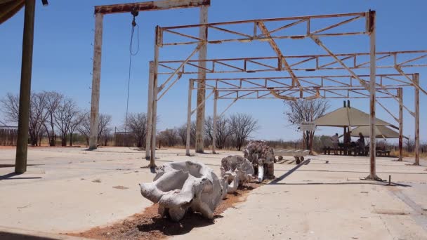 Dead Elephant Skeleton Sits Abaondoned Culling Station Etosha National Park — Stock Video