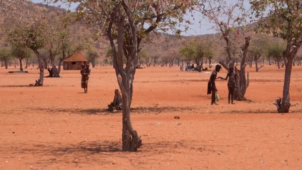 Маленьке Бідне Африканське Село Хімба Кордоні Намібії Глиняними Хатинами Дітьми — стокове відео