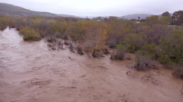 캘리포니아주오자 근처에 벤추라 속도로 흐르는 빗물을 건너는 팬타는 겨울철의 홍수중에 — 비디오