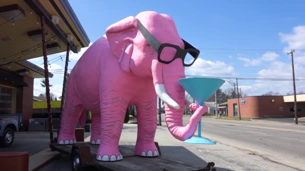 Obrovský Růžový Slon Sedí Silnice Martini Kufru Malém Městečku Fortville — Stock video