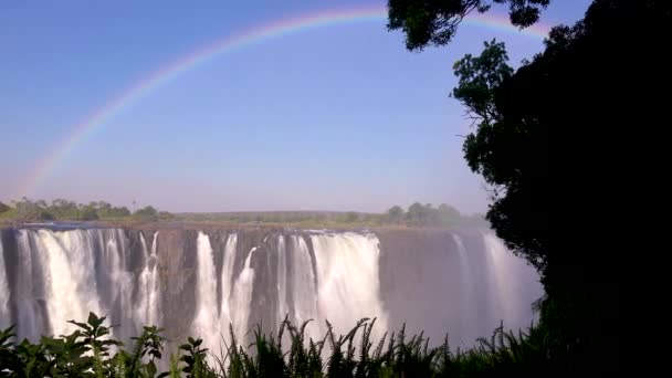 Prachtige Gevestigde Opname Met Regenboog Boven Victoria Falls Van Zimbabwe — Stockvideo