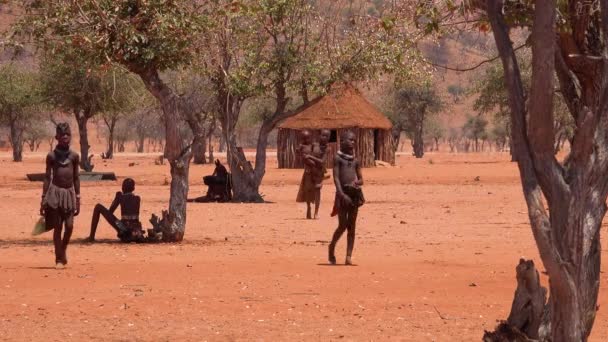 Klein Arm Afrikaans Himba Dorp Aan Namibië Angola Grens Met — Stockvideo