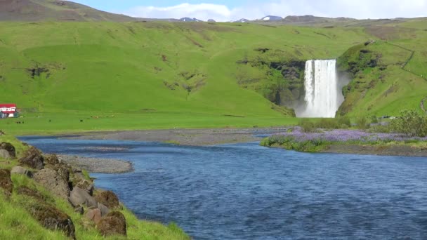 Den Vackra Gafoss Vattenfall Island Faller Över Spektakulär Klippa — Stockvideo