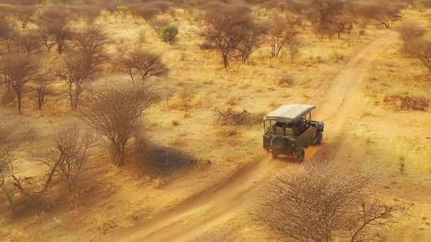 アフリカの平野を旅するサファリジープの空中 Erindiゲームプリザーブで 先住民のサン部族のスポッターガイドとナミビアは野生動物の前に座っています — ストック動画