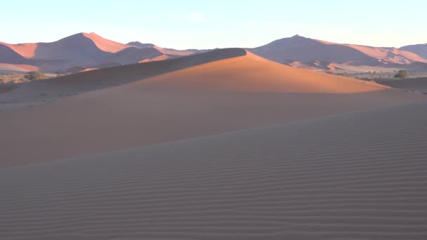 Estabelecendo Tiro Namib Naukluft National Park Deserto Namíbia Dunas Areia — Vídeo de Stock