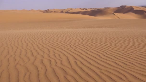 ナミビアのスケルトン海岸沿いのナミビア砂漠の素晴らしい砂丘を横断するパン — ストック動画