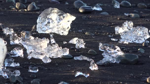 氷山は アイスランド 研磨され 宝石のように輝く黒砂のダイヤモンドビーチ ジョクルサロンに座っています — ストック動画