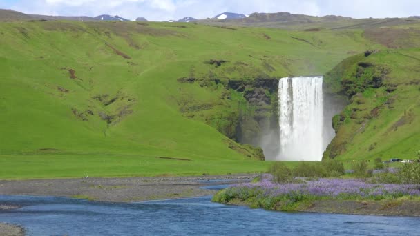 Güzel Gafoss Şelalesi Zlanda Muhteşem Bir Uçurumun Üzerine Düşüyor — Stok video