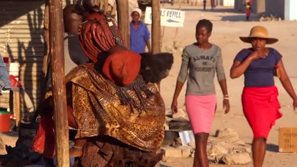 Himba Stamkvinna Med Barn Rygg Och Fantastisk Frisyr Lera Och — Stockvideo