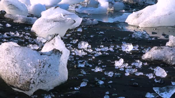 冰山栖息在冰岛北极的约库尔沙隆的黑色沙滩上 光彩夺目 像珠宝一样闪闪发光 — 图库视频影像