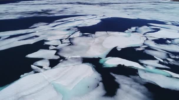 Aéreo Sobre Lago Alta Montaña Con Grandes Capas Hielo Icebergs — Vídeos de Stock