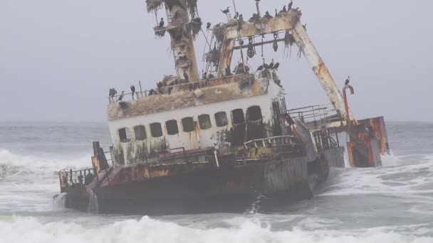 Spooky Shipwreck Grounded Fishing Trawler Sits Atlantic Waves Skeleton Coast — Stock Video