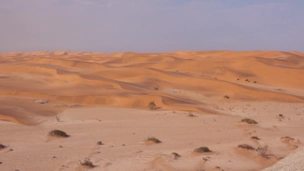 Panorama Disparado Través Vastas Dunas Arena Del Desierto Namib Namibia — Vídeos de Stock