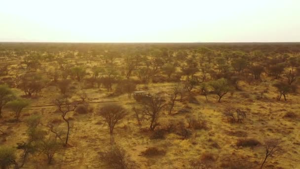 Aerial Safari Jeep Traveling Planains Africa Erindi Game Preserve Namibie — Stock video