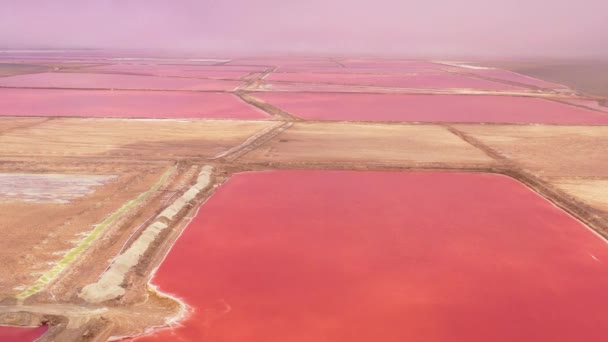 Walvis Bay Namibya Yakınlarındaki Parlak Kırmızı Pembe Tuz Tava Çiftliklerinin — Stok video