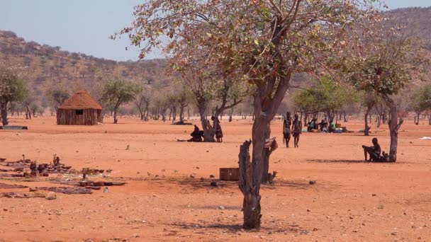 Små Fattiga Afrikanska Himba Byn Namibia Angola Gränsen Med Lera — Stockvideo