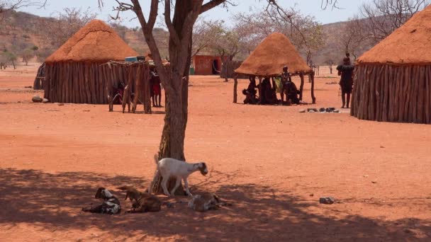 Små Fattiga Afrikanska Himba Byn Namibia Angola Gränsen Med Lera — Stockvideo