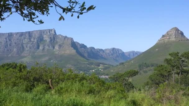 Hermosa Toma Establecida Table Mountain Lion Head Peak Ciudad Del — Vídeo de stock