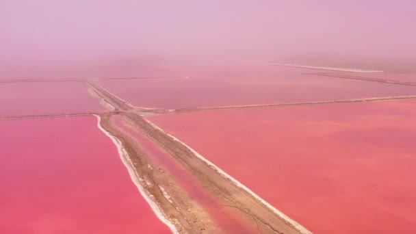 Hermosa Antena Sobre Granjas Sal Roja Brillante Rosa Cerca Walvis — Vídeo de stock