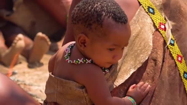 Bebê Olha Sobre Quando Bushmen Tribais Africanos San Executam Uma — Vídeo de Stock
