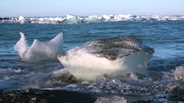 冰山栖息在冰岛北极的约库尔沙隆的黑色沙滩上 光彩夺目 像珠宝一样闪闪发光 — 图库视频影像