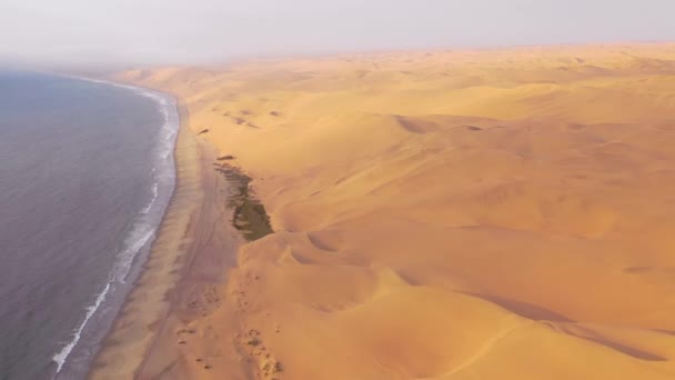 Goede Hoge Luchtopname Boven Uitgestrekte Zandduinen Van Namibische Woestijn Langs — Stockvideo