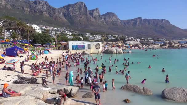 Многолюдный Оживленный Пляж Кэмпс Бэй Кейптаун Южная Африка Фоне Гор — стоковое видео