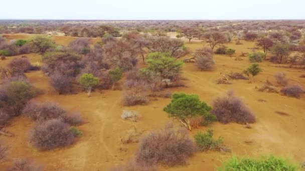 Aerial Savannah Ends Safari Jeep Plains Africa Erindi Game Preserve — Stock Video