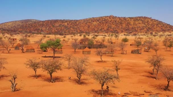 Låg Antenn Över Himba Afrikansk Stam Bosättning Och Familj Förening — Stockvideo