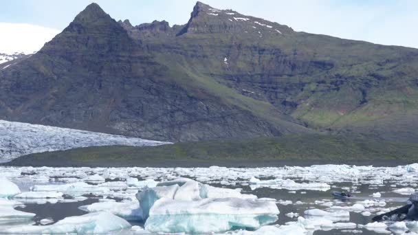 アイスランドのFjallsarlonの氷山で満たされた巨大な氷河ラグーンを横切る黄道ボートの気候研究者は 地球温暖化と気候変動を示唆しています — ストック動画
