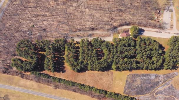 Повітря Над Великим Лісом Дерев Словом Studebaker Написаним Неба Рання — стокове відео